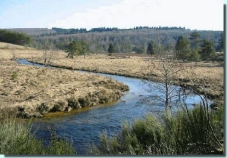 Plateau de Millevaches Trip Packages