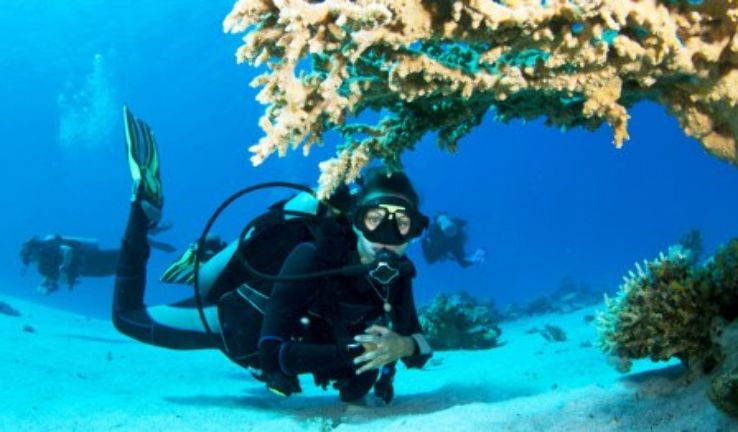 Snorkeling Trip Packages