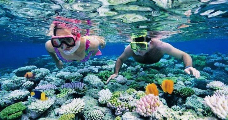 Snorkeling Trip Packages Snorkeling Trip Packages