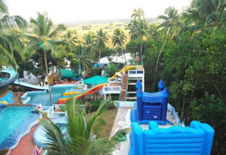 The Blue Whale Water Park Trip Packages