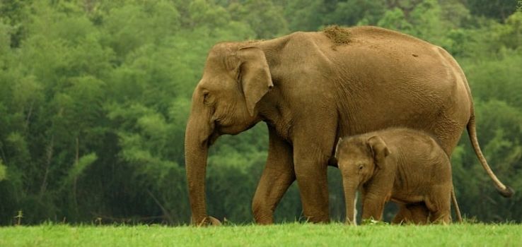 Boating In Kabini Trip Packages