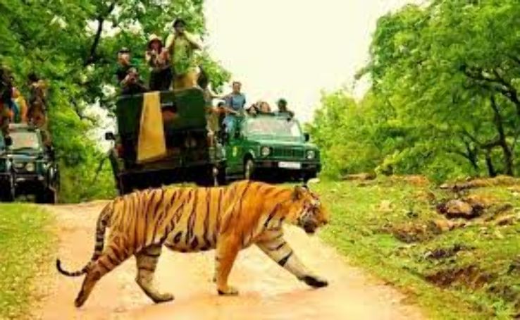 Pench National Park Trip Packages Pench National Park Trip Packages
