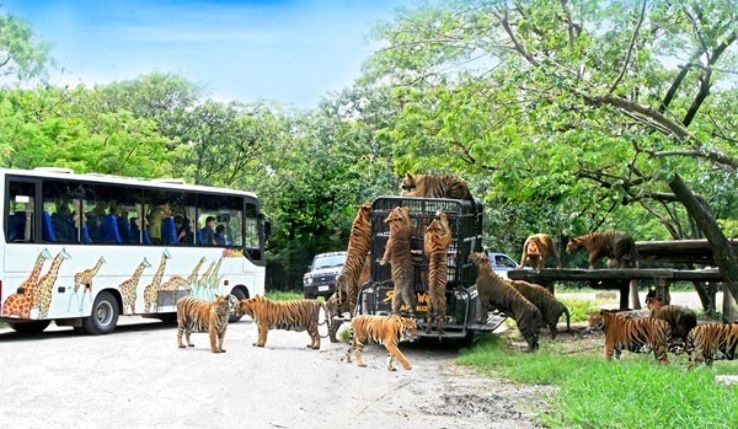 Safari World Trip Packages