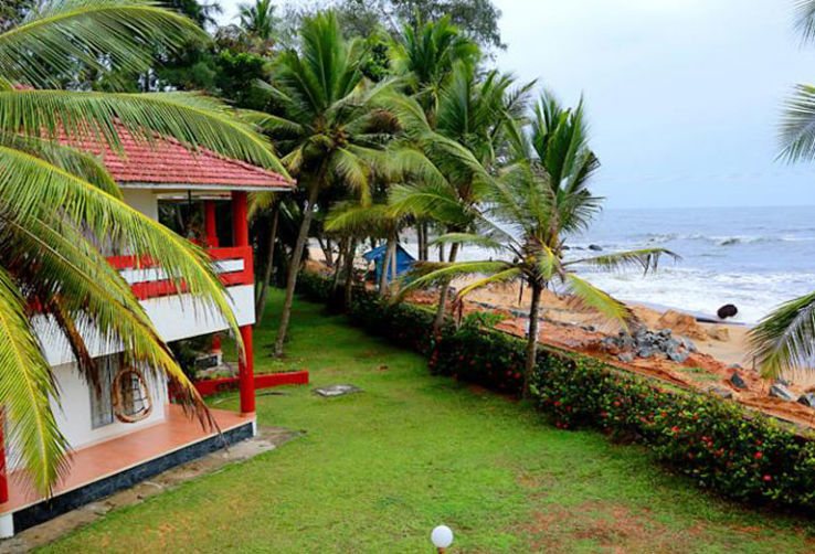 Lions Park Trip Packages Lions Park Trip Packages