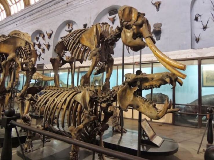 Sukti fossil Park Trip Packages Sukti fossil Park Trip Packages