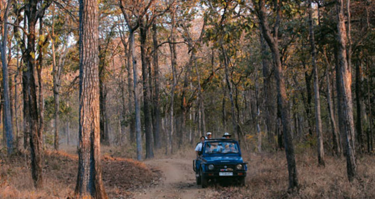 Satparu National Park Trip Packages Satparu National Park Trip Packages