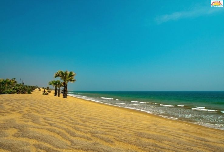 Rushikonda Beach  Trip Packages