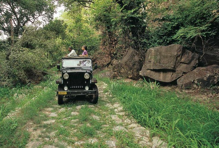 Kumbhalgarh Wildlife Sanctuary Trip Packages