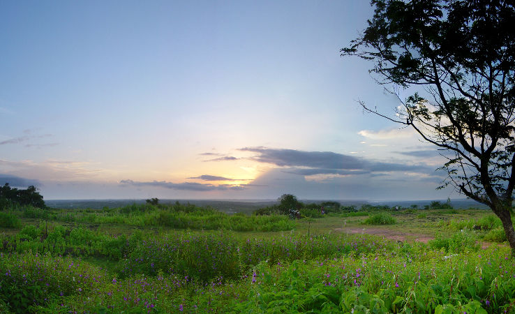 End Point Trip Packages End Point Trip Packages