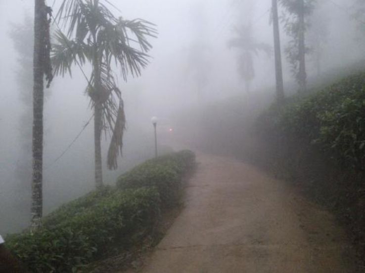 Vaduvanchal Trip Packages