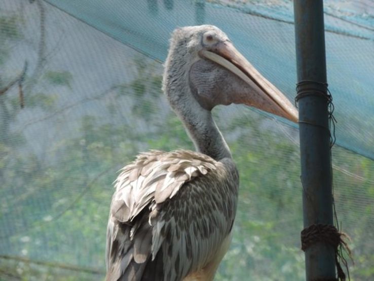 Kurumpapatti Zoological Park Trip Packages Kurumpapatti Zoological Park Trip Packages