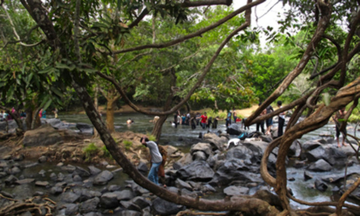 Kuruva Dweep Trip Packages