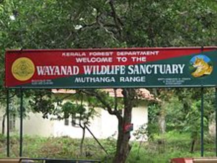 Wayanad Wildlife Sanctuary Trip Packages