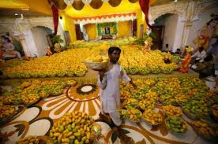 Mango Festival in Gir Trip Packages