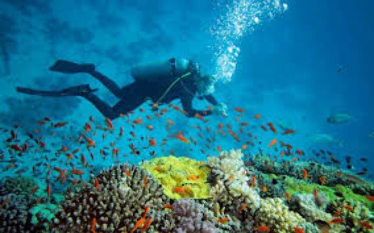 Scuba Diving  Trip Packages