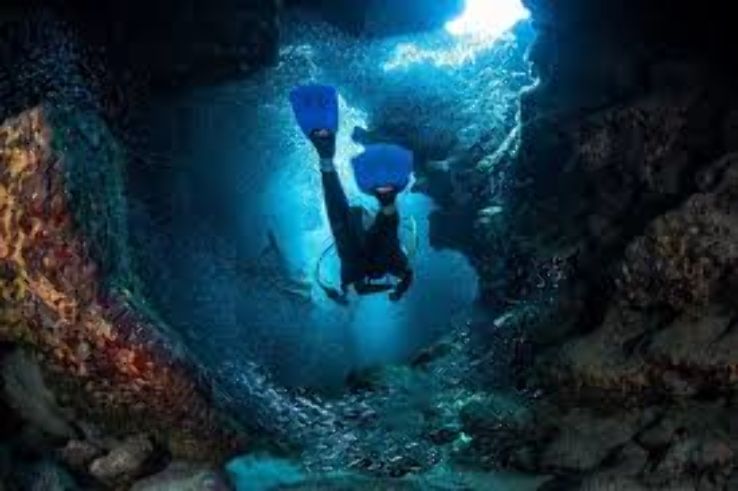 Scuba Diving  Trip Packages