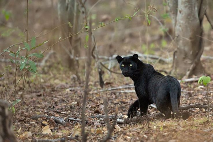 Kacheeda Valley Trip Packages