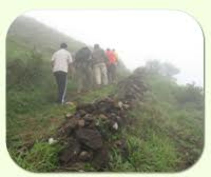 Trekking in Madikeri Trip Packages