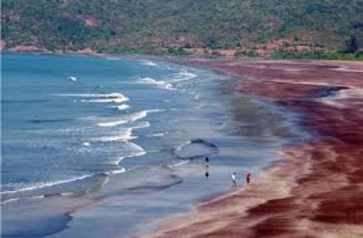  Harihareshwar and Shriwardhan Beach Trip Packages