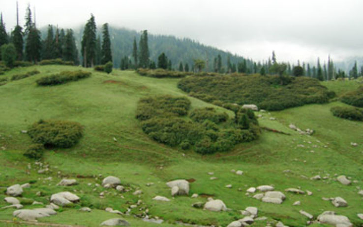 Seoj Meadow 2021, #3 top things to do in bhaderwah, jammu and kashmir,  reviews, best time to visit, photo gallery | HelloTravel India