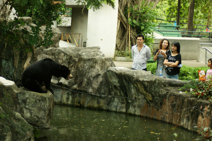 Dusit Zoo Trip Packages