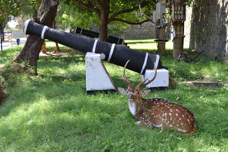 Fort Frederick Trip Packages