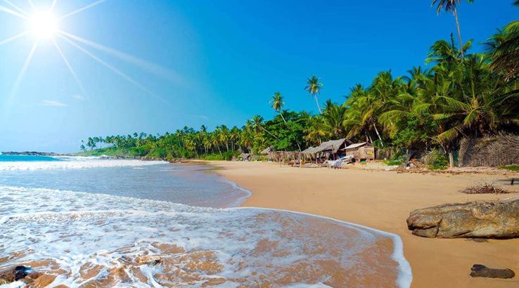 Manayaweli Cove Trip Packages