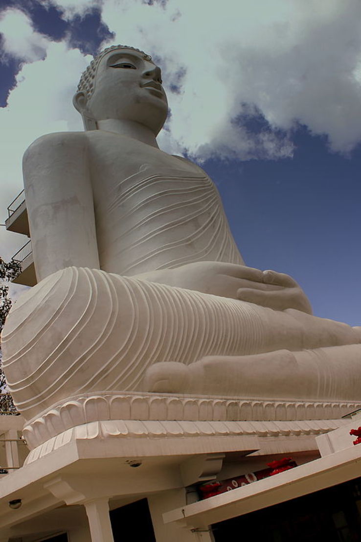 The Big Buddha Trip Packages