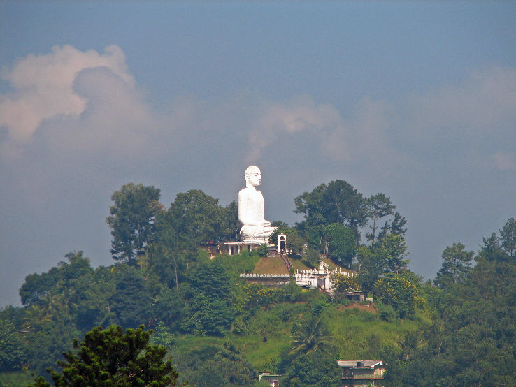 The Big Buddha Trip Packages