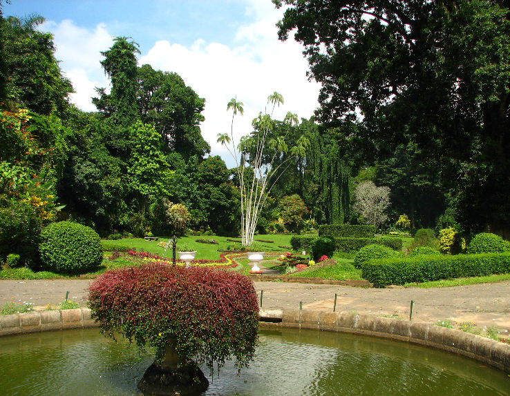  Royal Botanical Garden Trip Packages