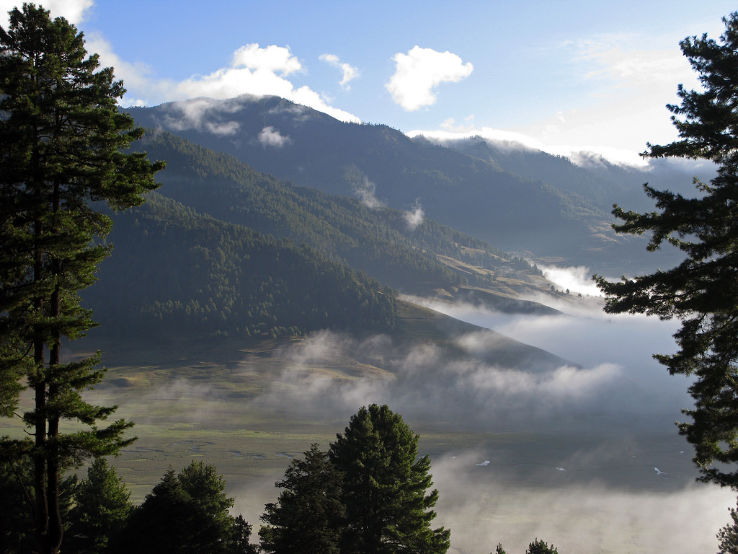 Phobjikha Valley Trip Packages