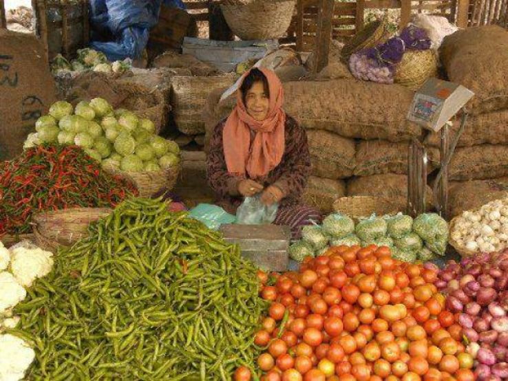 Vegetable Market Trip Packages