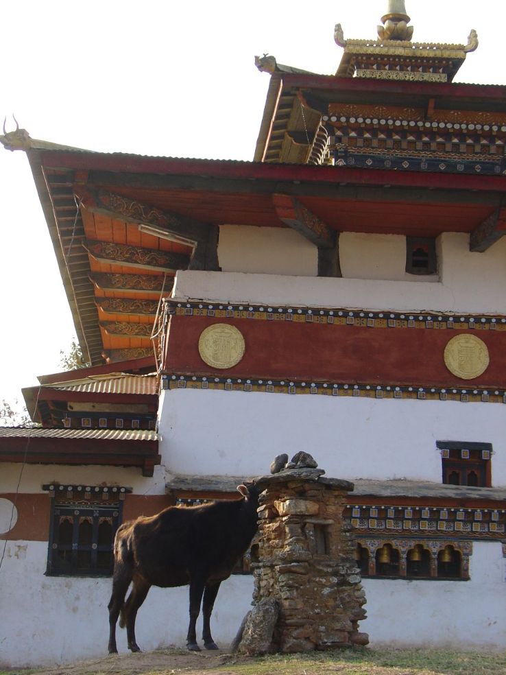 Chimi Lhakhang Temple Trip Packages