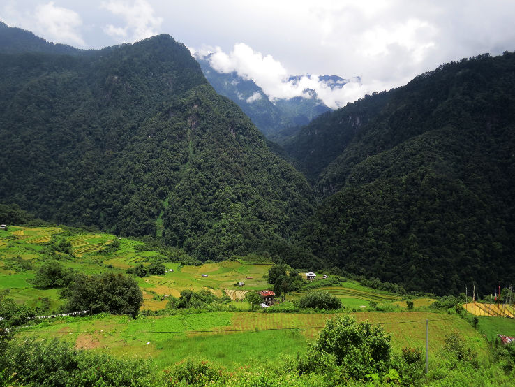 Jigme Dorji National Park Trip Packages