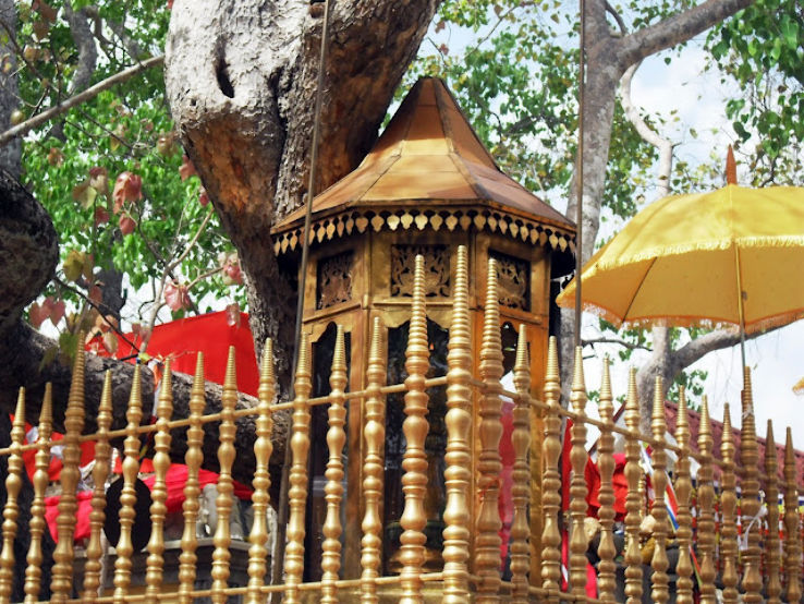 Sri Maha Bodhi Trip Packages