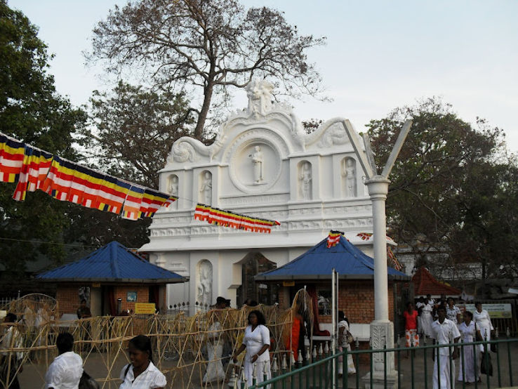 Sri Maha Bodhi Trip Packages