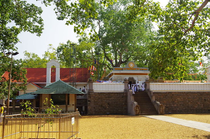 Sri Maha Bodhi Trip Packages