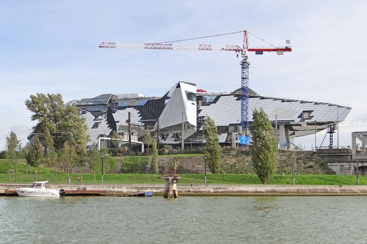 Musee des Confluences Trip Packages