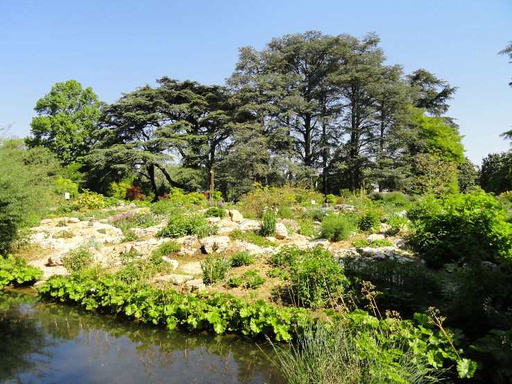 Jardin botanique de Lyon Trip Packages