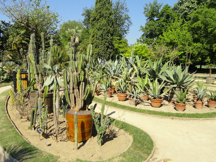 Jardin botanique de Lyon Trip Packages