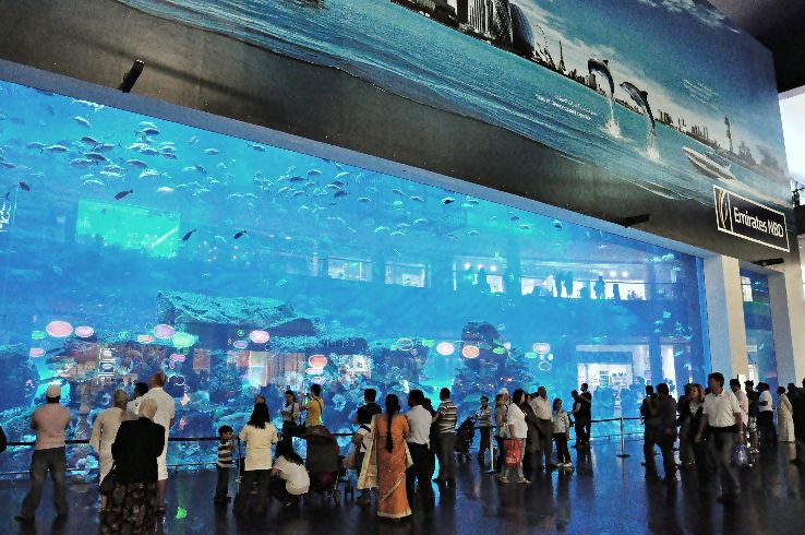 The Dubai Mall  Trip Packages