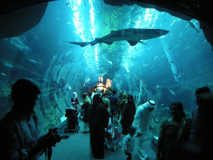 Dubai Aquarium & Underwater Zoo  Trip Packages