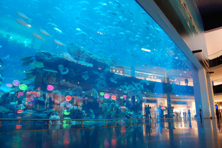 Dubai Aquarium & Underwater Zoo  Trip Packages