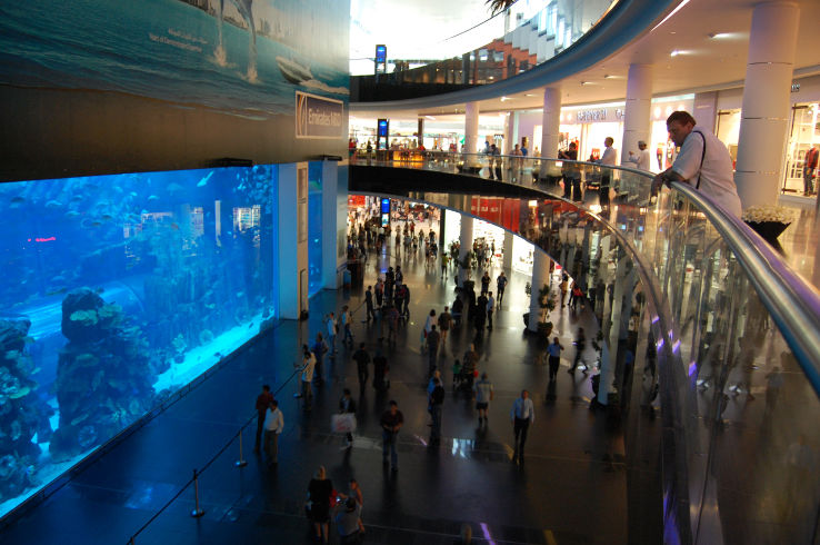 Dubai Aquarium & Underwater Zoo  Trip Packages