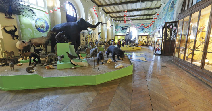 Museum d histoire naturelle de Trip Packages