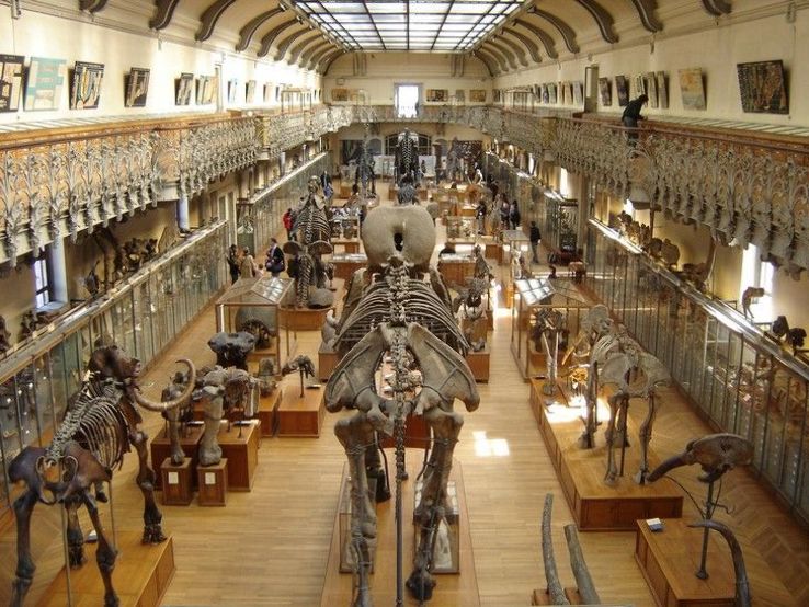 Museum d histoire naturelle de Trip Packages
