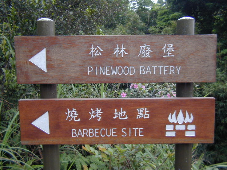 Pinewood Battery Trip Packages