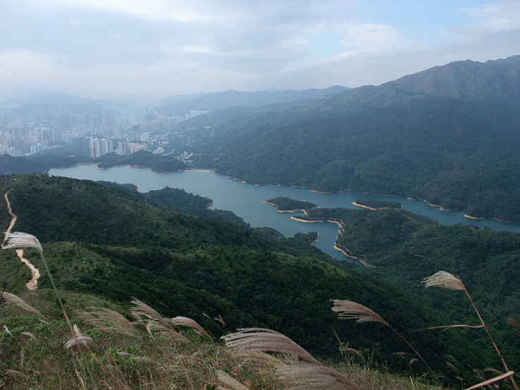 Shing Mun Reservoir Trip Packages