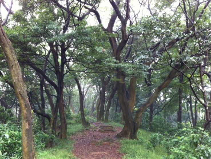 Tai Mo Shan Country Park Trip Packages