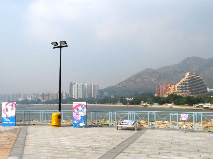 Dolphin Square Trip Packages Dolphin Square Trip Packages